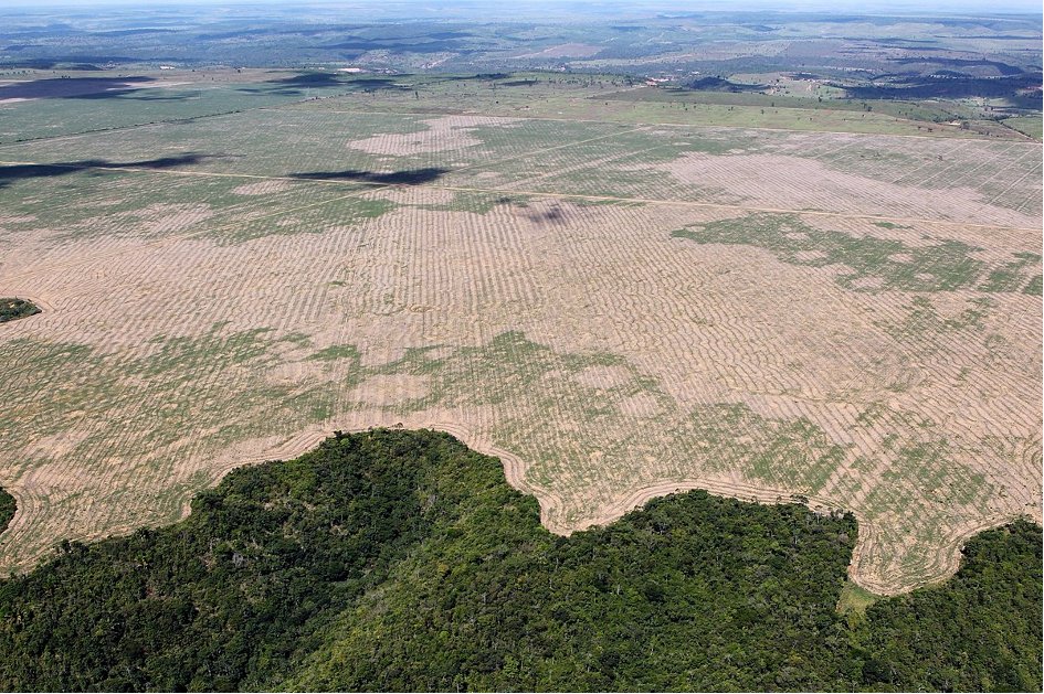 PlaneteAmazone's tweet photo. #Brésil: Négationniste, le gouvernement Bolsonaro défend son bilan environnemental malgré une hausse de la déforestation en Amazonie de 9,5%, pire bilan depuis 12 ans. https://t.co/p7RhUunARt 
#PlanèteAmazone #TerraLibre #SOSAmazonia #ApocalypseBolsonaro #StopEcocid https://t.co/LnENlvNBoa