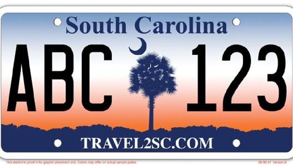 3)On Monday July 11th, 2016 at 7am two men were found dead near and in a gold minivan in Myrtle Beach South Carolina. Police estimate the time of death at 4:30am. Manner - multiple gunshot wounds.Appears to be S.C. plates on the vehicle