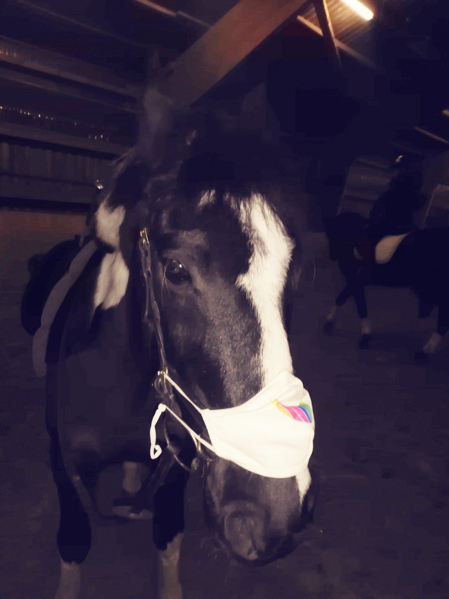 The masked Horst #akquinet #SocialDistancing #reitenmitmaske #coronavirus