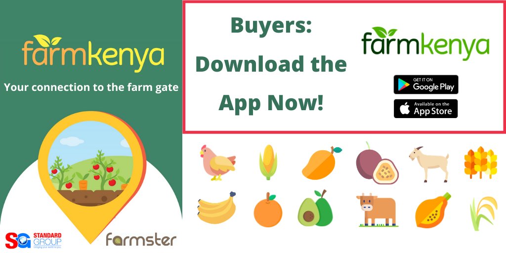 StandardKenya's tweet photo. Easy Buying this New Year!

Buy  directly from more than 29500 farmers of farm produce &amp; animals on #FarmKenya farmers Market.

Buy conveniently on the #FarmKenya App via:

Apple Store Link: https://t.co/URh0T4SFWa

Google Play store Link: https://t.co/m4Th9GK3CL

@FarmsterApp https://t.co/dew4Z5hYQE
