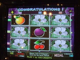 ゲームファンタジア千葉北店 على تويتر 昨日の夜にwild Rosesにて124 500枚のjpが出ております まだまだ大量の大当たり枚数が期待できますので 是非この機会に メダルゲーム で遊んでみてはいかがでしょう メダルゲーム ジャックポット 千葉北 アドアーズ