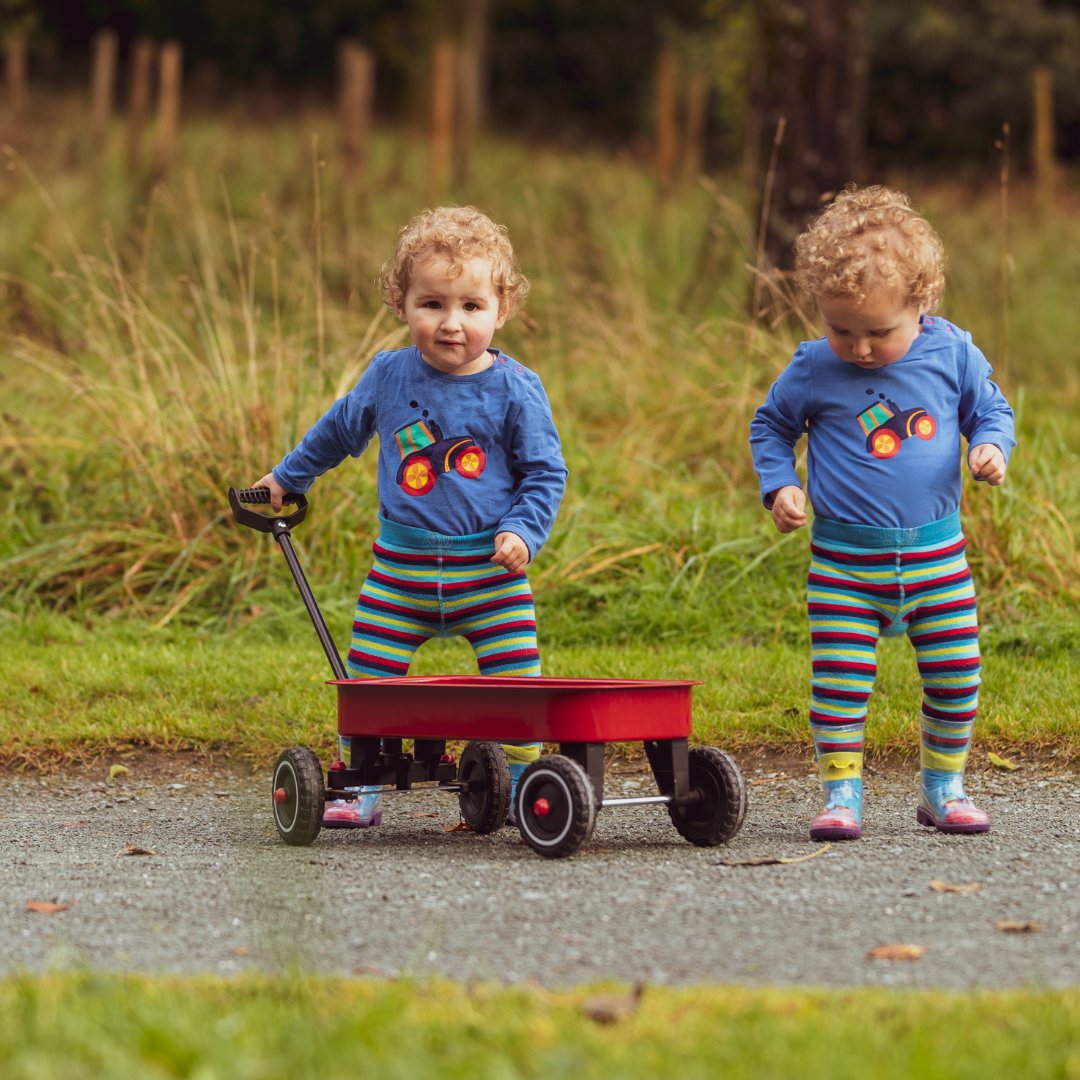 blade and rose highland cow