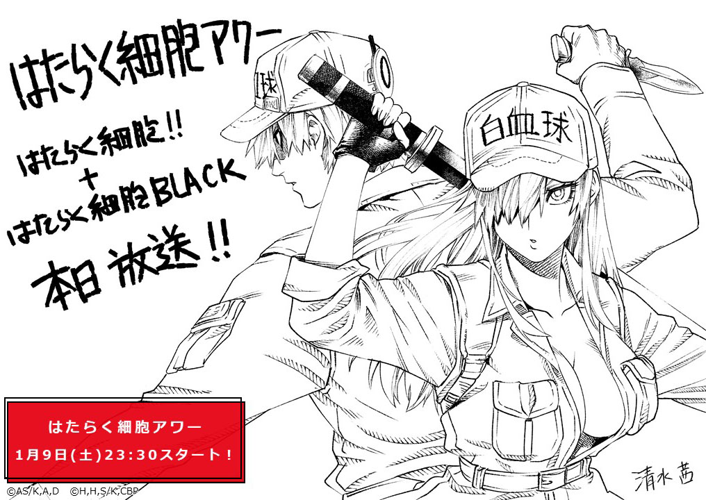 はたらく細胞 公式 A Twitter はたらく細胞 はたらく細胞black 1 9 On Air はたらく細胞アワー は 本日放送スタート コラボカウントダウンイラストの最後はもちろん はたらく細胞 の清水茜先生よりいただきました 今夜の第1話をお はたらく細胞 公式 A Twitter はたらく細胞 はたらく細胞black 1 9 On Air はたらく細胞アワー は 本日放送スタート コラボカウントダウンイラストの最後はもちろん はたらく細胞 の清水茜先生よりいただきました 今夜の第1話をお