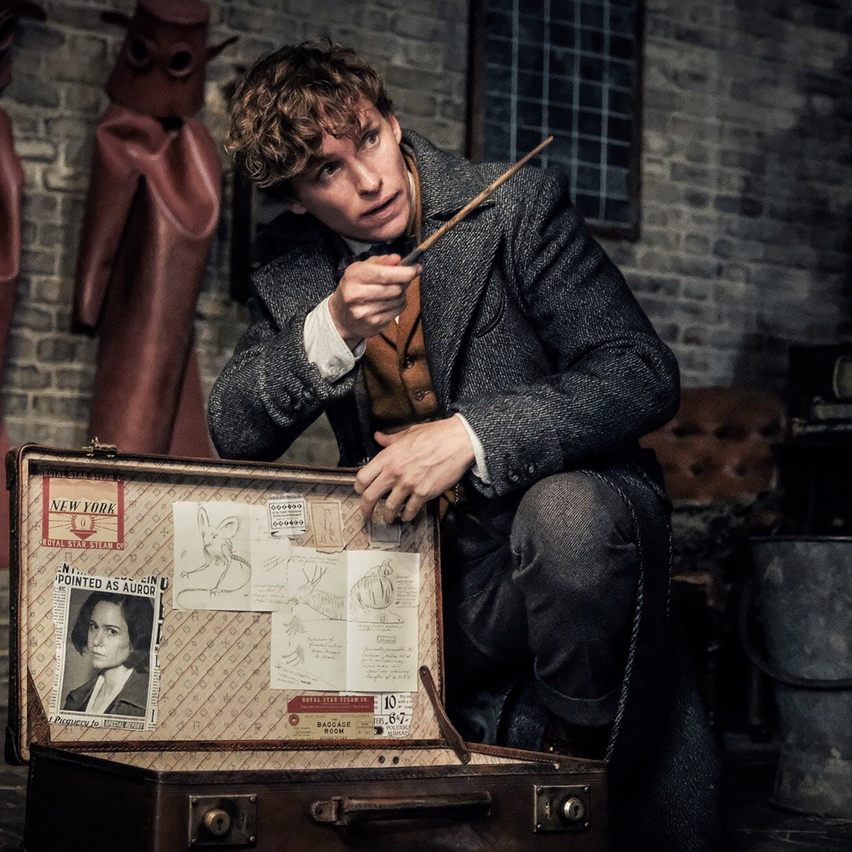 ホットトイズ ファンタスティックビースト ニュート・スキャマンダー