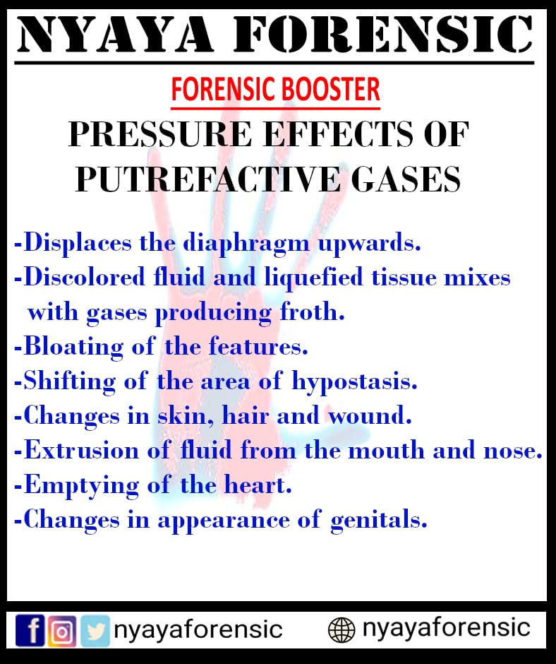 nyayaforensic's tweet photo. Pressure effects of putrefactive gases
#forensic #forensicmedicine https://t.co/ubBA91IY1E
