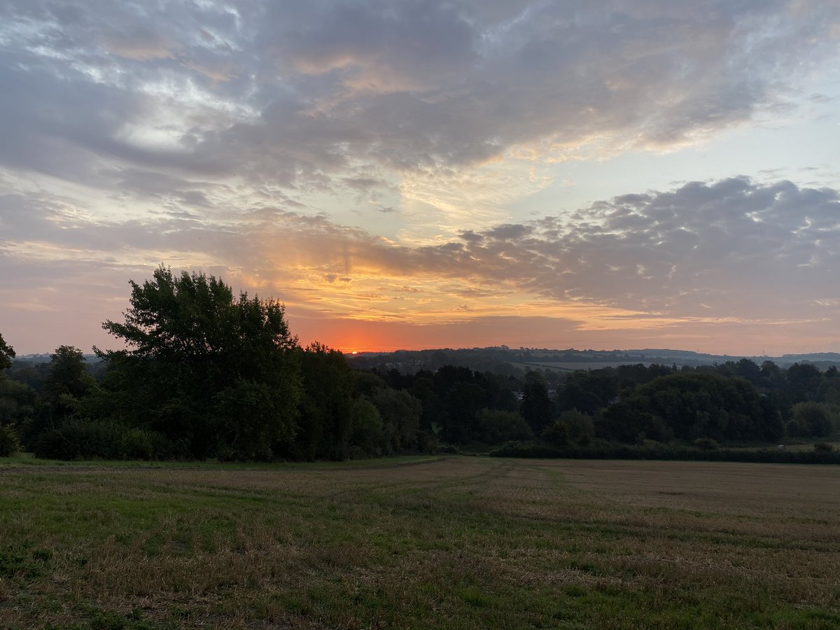 kitchen_kent's tweet photo. Not the best weather to start this month - but we dream of sunnier times 🐥🦋🌳🌻☀️ Stay positive everyone - happier times are coming.... https://t.co/749aW9nXTb