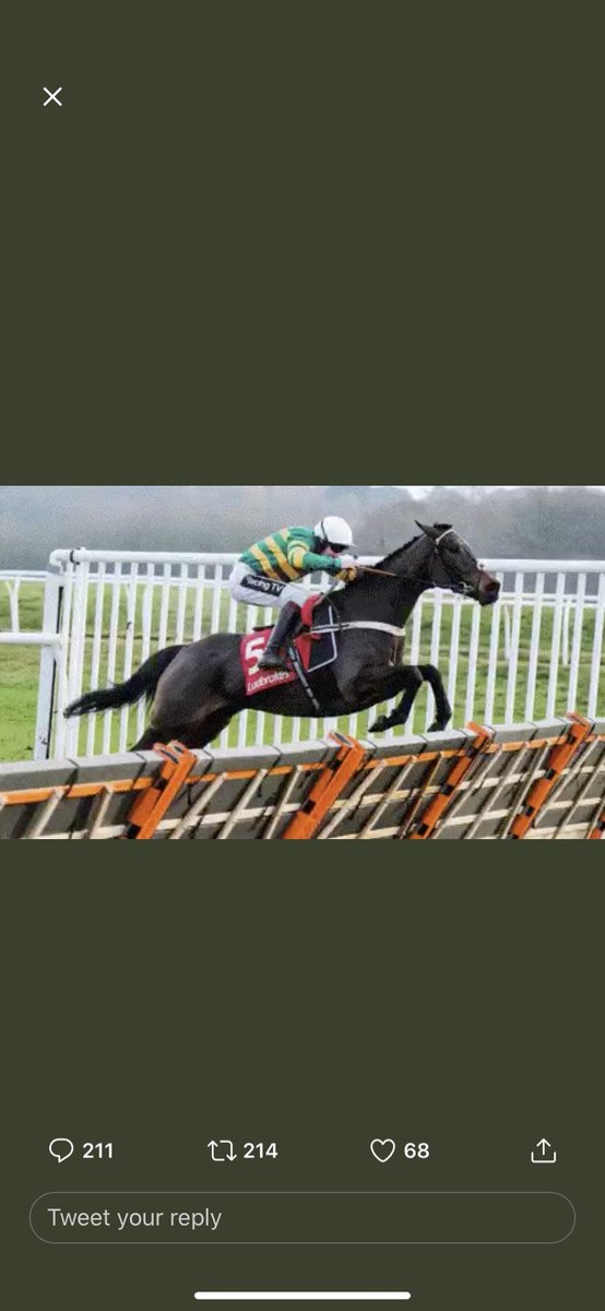 charlelizabethx's tweet photo. @RacingTV That was fun 😂 https://t.co/bF5r0DkyHh