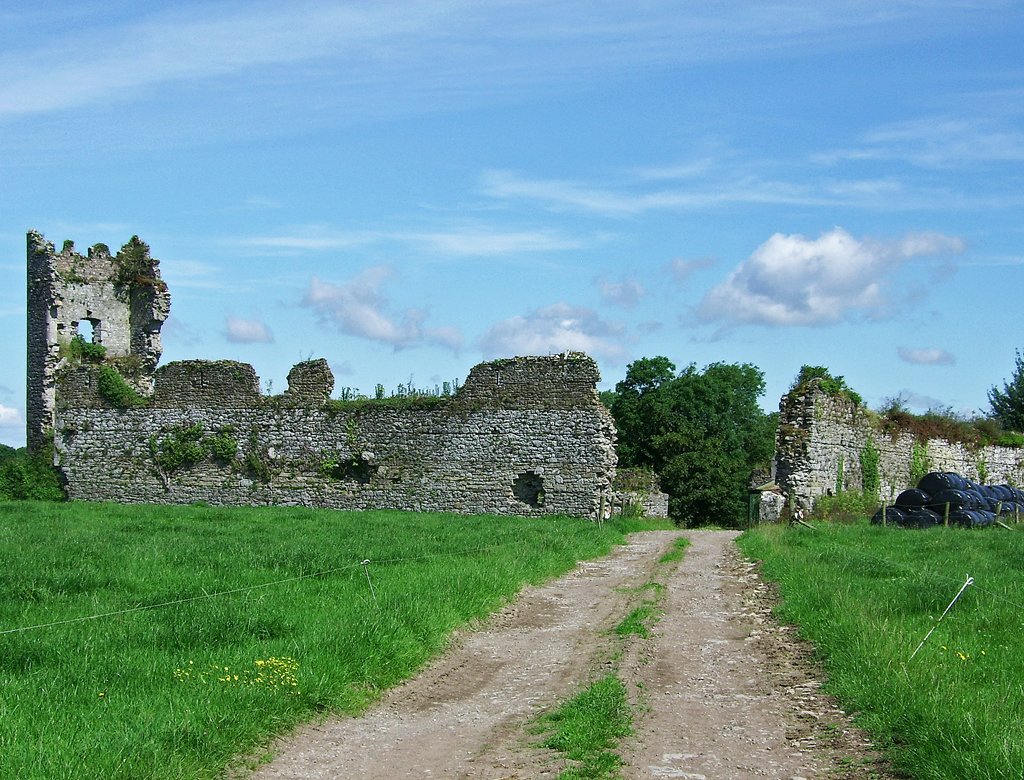 lorraineelizab6's tweet photo. 6 Jan: St Caurnán Bec. Identified as patron of Cell Curnáin/#Kenry near Askeaton, Co #Limerick in 17th C (@ElvaBJohnston). Bec/Beg "little"; small stature (@OmniumH)? 📷Kenry Castle, nowadays known as Shanpallas Castle, Co Limerick ©Garry Dickinson https://t.co/n6BSVTzjpl https://t.co/JGy0URZML2