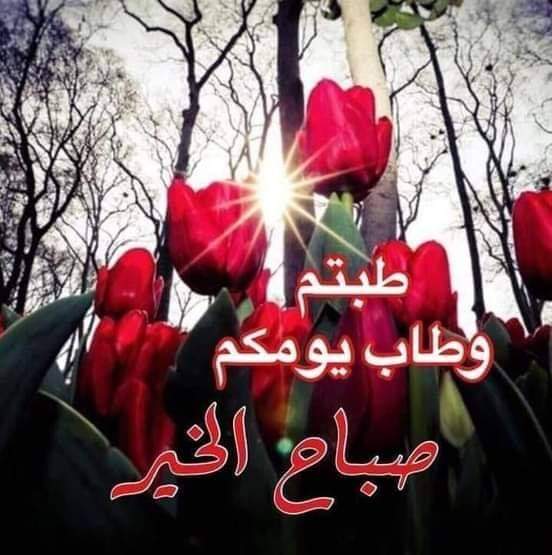 Alaa62480535's tweet photo. @behrofe @Fgdfdgh4 https://t.co/jrYIvZE9LG