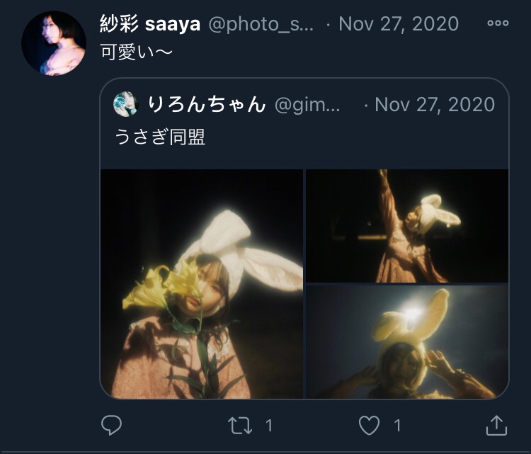 Consider this series of RT's from November: 11/27, the account RT'S a picture of a white rabbit hat on a girl.Clearly, this is the start of a sequence of comms. And indeed on 11/28 and 11/29, we get: a camera, a string bead curtain, and... wait, what's that? Can we zoom in?