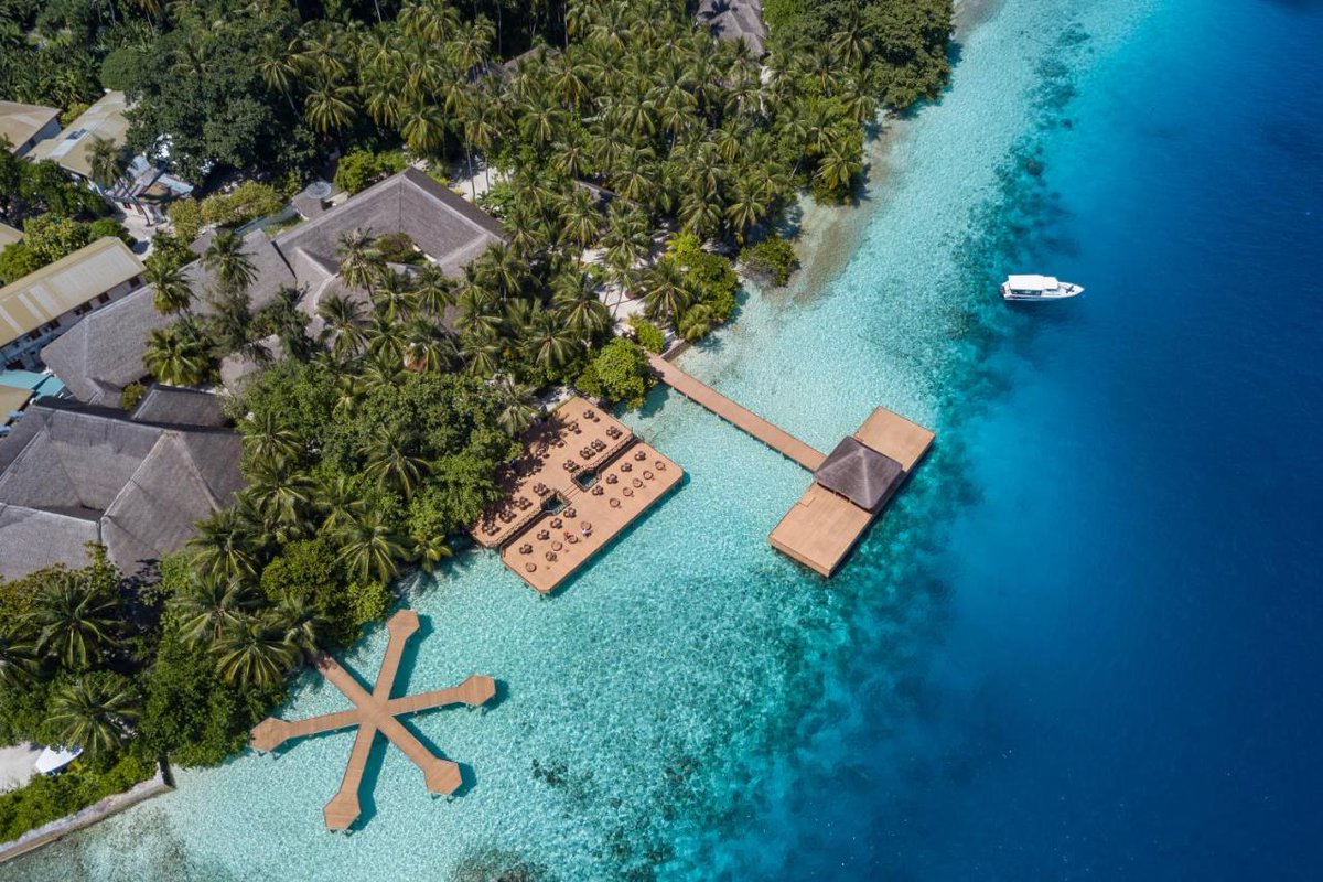 InfoDestination's tweet photo. Fihalhohi Island Resort - Guraidhoo😀
https://t.co/uaO6CFyY49👍
*
#maldives #guraidhoo #visitmaldives #mp_traveldestination #travel #mp_maldivesok #repost #explore #traveladdict #travels #nature #traveler #photography #traveling #vacation #travelblog #travelpic #traveldeeper #a✴️ https://t.co/bMil4q2Ibv