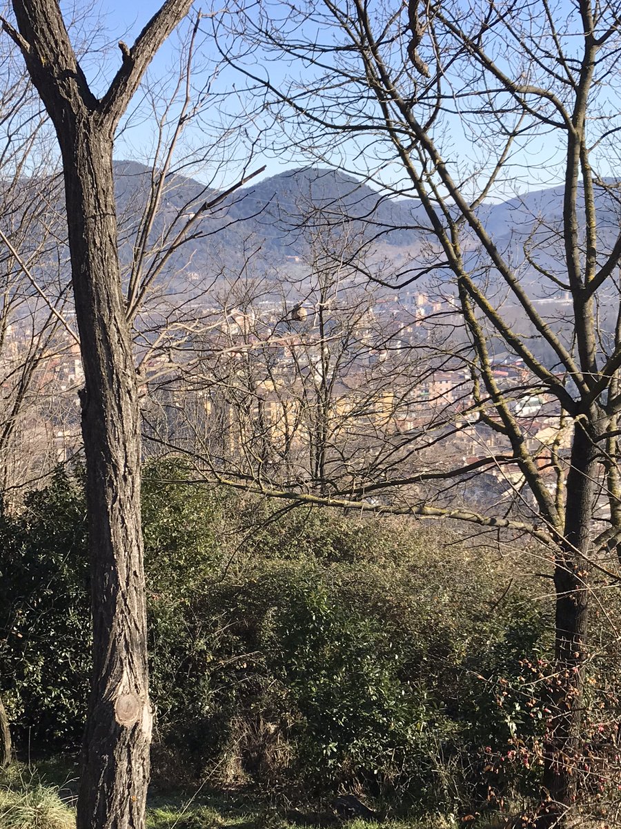 tfreixest@gmail.com tweet media