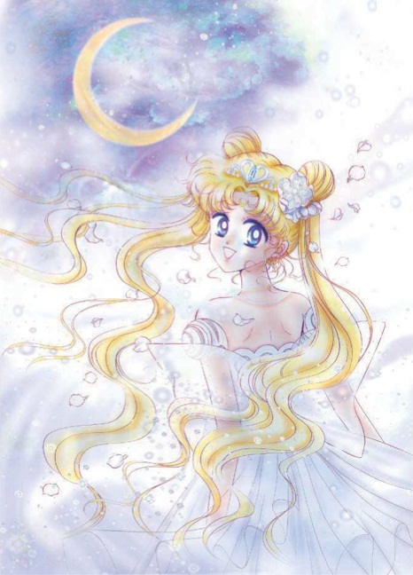 Sailor Moon Vietnam Princess Serenity By Naoko Takeuchi 21 美少女戦士セーラームーン プリンセスセレニティ Princessserenity Naokotakeuchi 武内直子 Kadokawa Davinci T Co Gmn6dwwskk Twitter