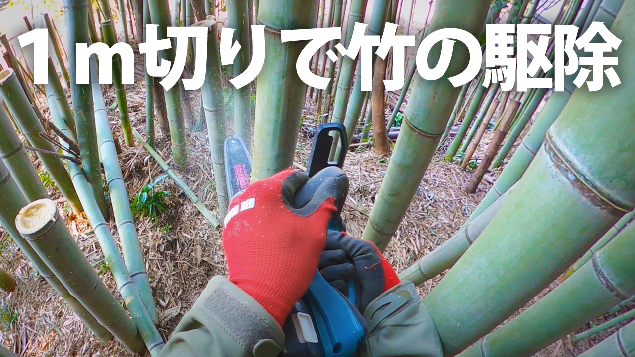 どうげんさんの裏庭 Diy Youtube 竹を1m切りで根から枯らす方法 やってみました 裏庭のやっかいな竹藪の撲滅です T Co Zhenmfotnw 12月 2月 竹の休眠期に1m切り 春 切られたことに気付かず地下の養分を吸い尽くす 1年後 地下茎から どうげんさんの裏庭 Diy Youtube 竹を1m切りで根から枯らす方法 やってみました 裏庭のやっかいな竹藪の撲滅です T Co Zhenmfotnw 12月 2月 竹の休眠期に1m切り 春 切られたことに気付かず地下の養分を吸い尽くす 1年後 地下茎から