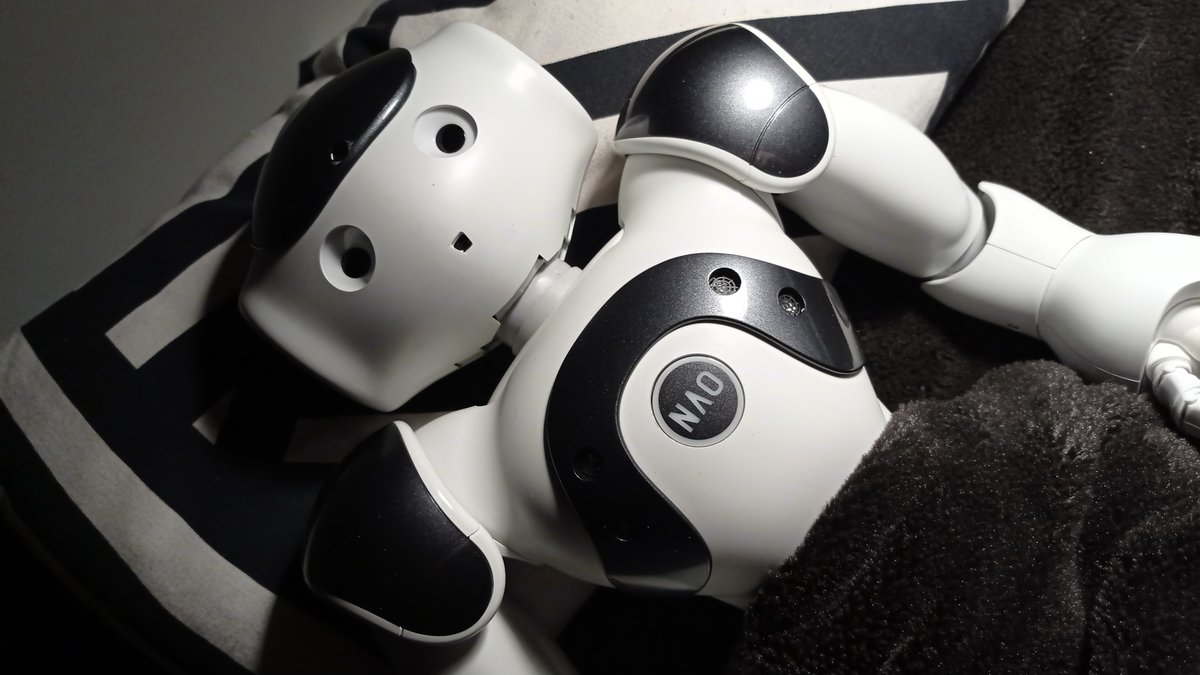 Sensorium Festival tweet media