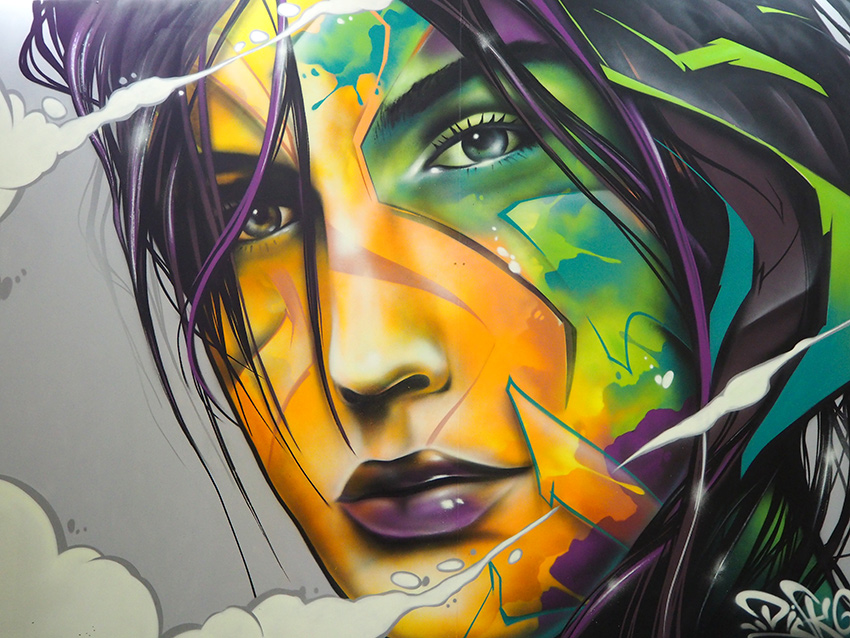argone69's tweet photo. #saturdayartfever Disk pour l'édition 2018 du #zooartshow à #Lyon #streetart #urbanart #visualarts @zooartshow #murals https://t.co/PgXb9sf99c