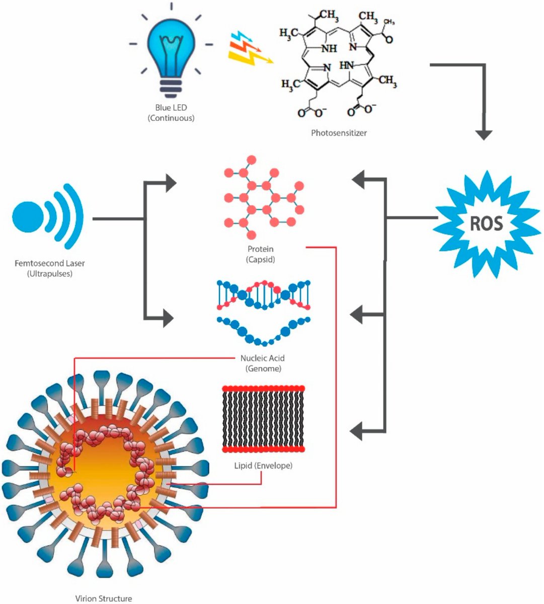 Pathogens_MDPI's tweet image. #pathogens
Review paper: "Control Measures for #SARS-CoV-2: A Review on Light-Based Inactivation of Single-Stranded #RNAViruses". Written by Dr. Gale Brightwell et. al.

👉mdpi.com/2076-0817/9/9/…

#SARS-CoV-2
#single-stranded RNA viruses
#viral inactivation
#ultraviolet