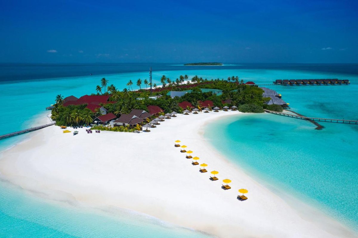 InfoDestination's tweet photo. Dhigufaru Island Resort - Baa Atoll😀
https://t.co/vN3rXRlhpG👍
**
#maldives #baaatoll #visitmaldives #mp_traveldestination #travel #mp_maldivesok #repost #explore #traveladdict #travels #nature #traveler #photography #traveling #vacation #travelblog #travelpic #traveldeeper #a✴️ https://t.co/dV1uKa97CR