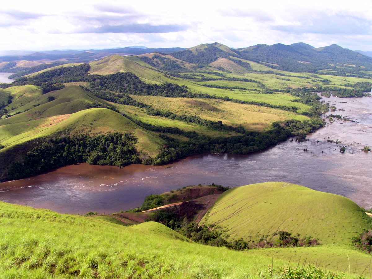 tourismcampaign's tweet photo. 7 Days #Tour In #Gabon
https://t.co/wifC9K8J8W
Day 1 Welcome to #Libreville
Day 2 Little #trip to Nyonie
Day 3 #Trekking in #NyonieReserve
Day 4 Night train to Lopé
Spend the day relaxing at the #beach in Nyonie
Day 5 #Brazza Mount
Day 6 #Riversailing & 4x4 #safari
Day 7 Depart https://t.co/Oyk42oUijI