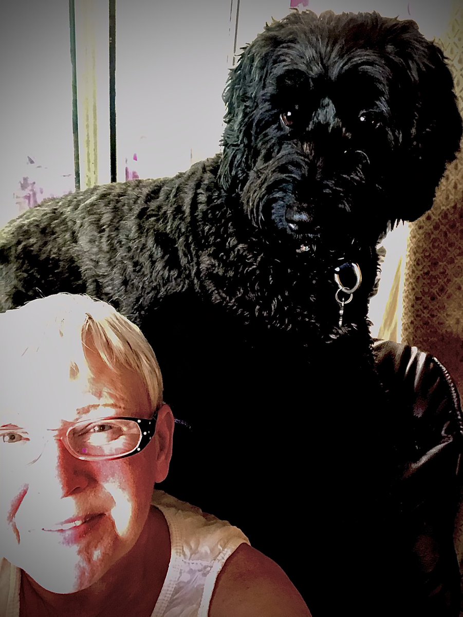 Lesleykford1965's tweet photo. It’s our beautiful Bella’s birthday today. She is 6 years old. Her best present? Cuddles with mum ALL day!! Perfect x https://t.co/NhlHMPeza4