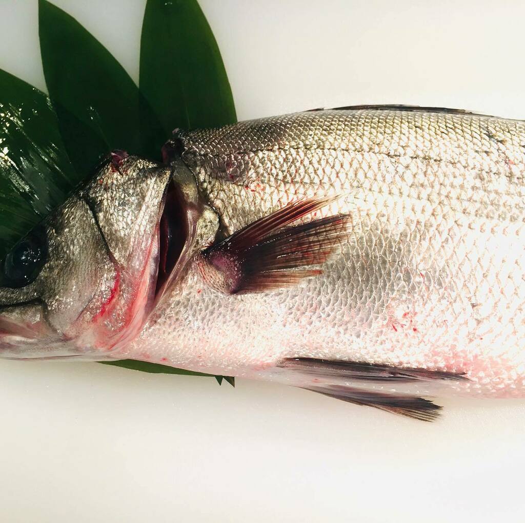 Tokyo Fisherman S Wharf 魚秀 Uohideshibuya Twitter