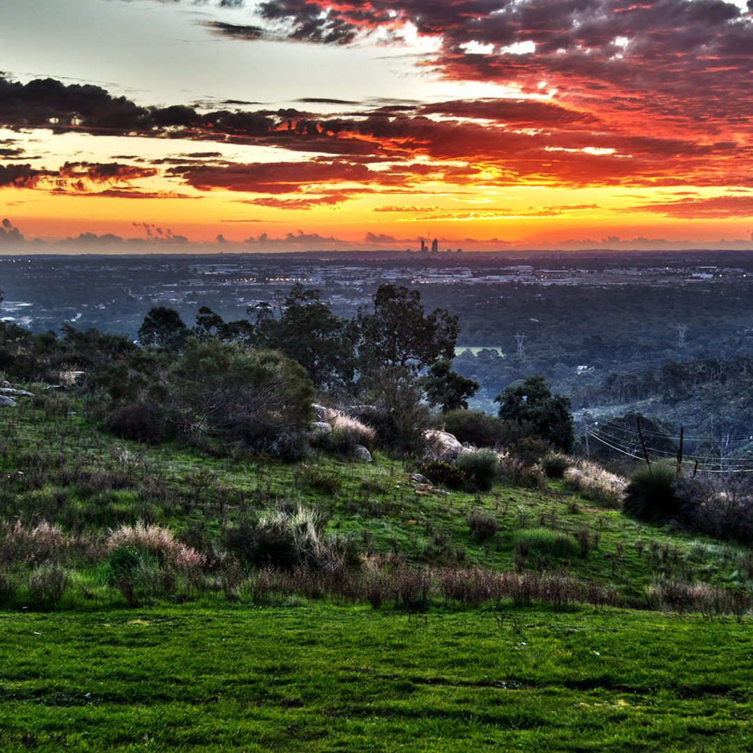 perthobs's tweet photo. #Perth #WA Coming up for one of our night tours? Have dinner at the Travelling Snack Restaurant (https://t.co/k6edh7SXMl) at Lion's Lookout on Welshpool East Rd, the food is fantastic
#eatlocal #perthfoodies #experienceperthhills #perthhills #perthnews #perthlife #perthtodo https://t.co/Ob3VzCeeet
