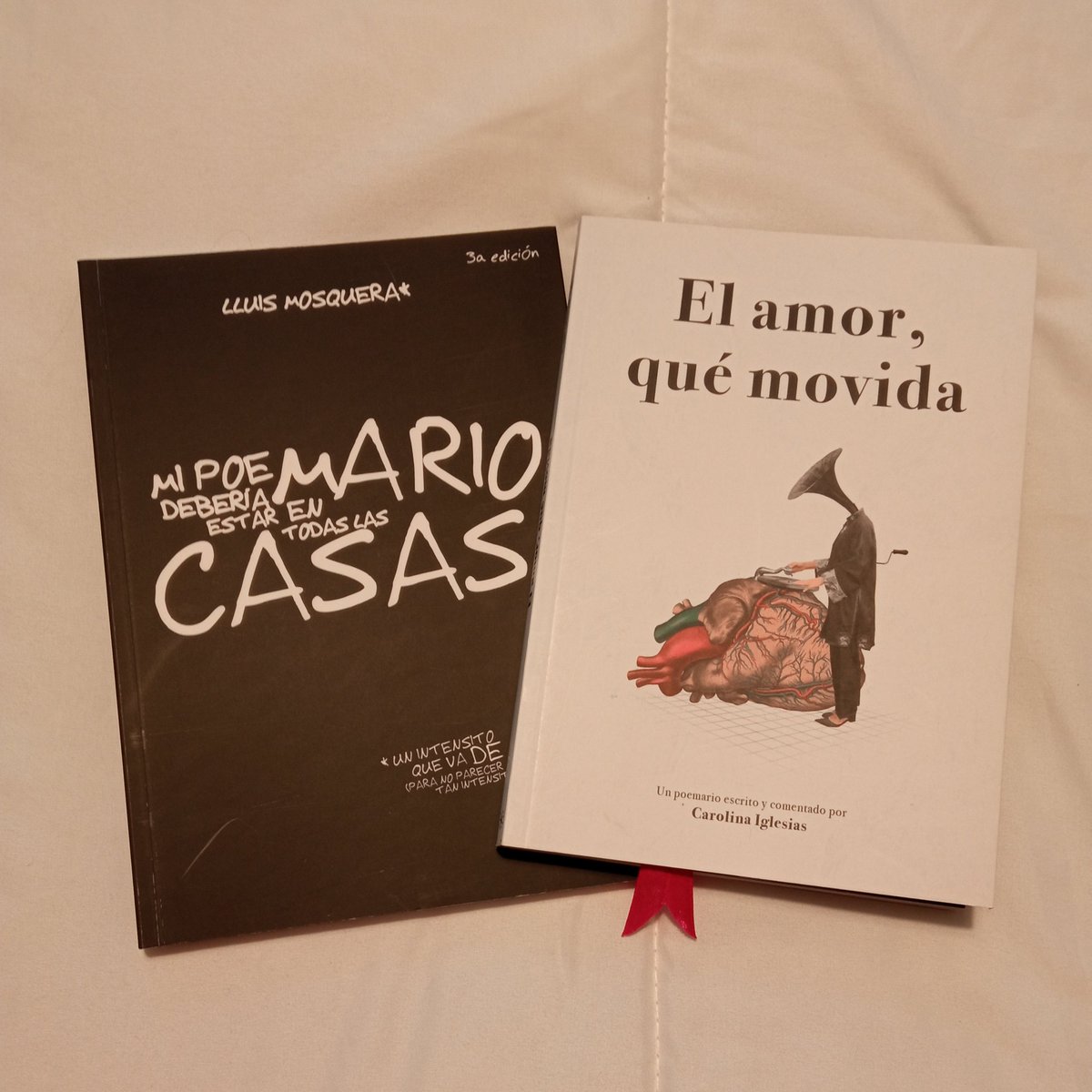 LibretaDeLaura's tweet photo. Hubo dos personas que hicieron mi confinamiento un poco más liviano. Una fue @percebesygrelos con su serie, su podcast y sus videos y la otra fue @tazodemew con #CampWrite. Parece que el 2021 también lo van a hacer un poco menos malo porque han aparecido juntos bajo el árbol. https://t.co/h6r5PkoPHB