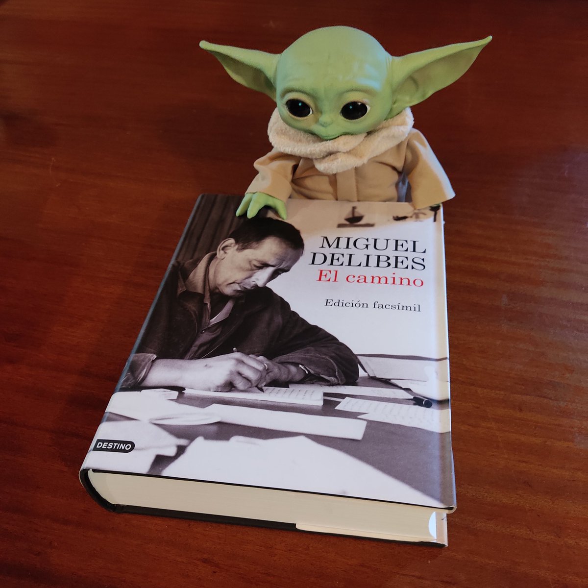 Felipe Barrientos Díez tweet media