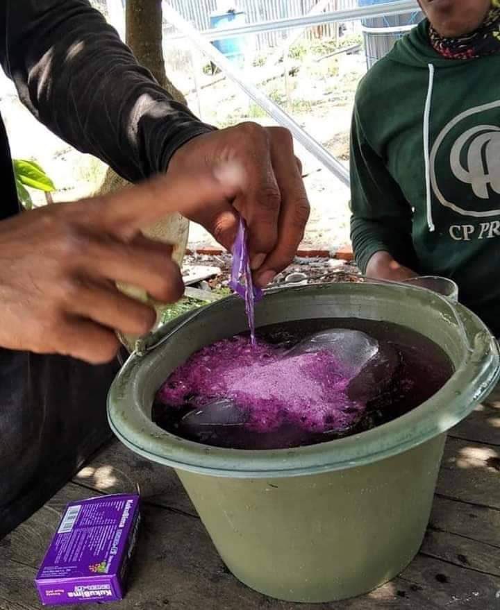 bersama kuli membangun negri