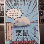 年賀状が届いたけど、全てを間違えているｗ（名前も間違えてる) 。