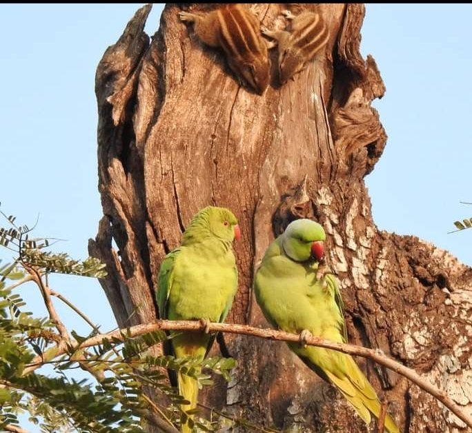 NarnarayanI's tweet photo. Nature 🌿🍃 Feel... 
#amazon #green  #fresh #enjoy https://t.co/PSDuw2Or1d