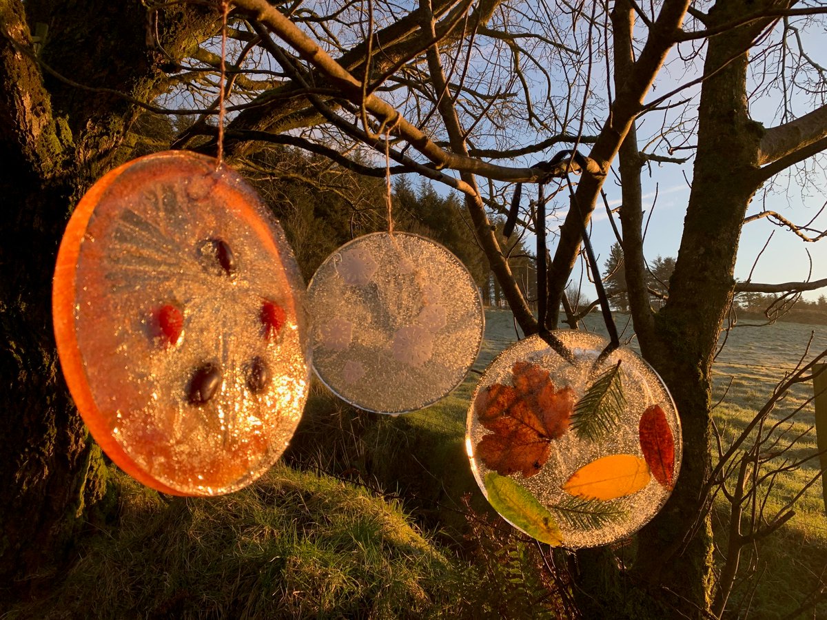 playboard_'s tweet photo. We loved trying this #winterplay idea to make frozen suncatchers! They are really easy to make and can be made from items found in your garden or on a walk - all you need is a frosty night ☀️❄️ https://t.co/QNVQprvEOD