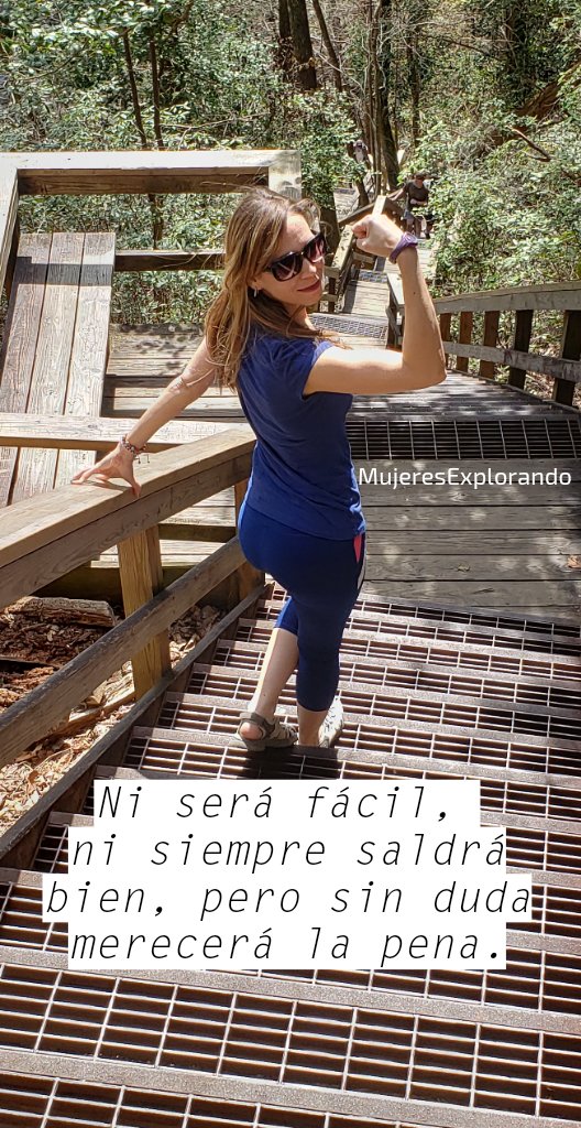 Mujeresexploran's tweet photo. Cuando quieras hacer algo, inténtalo. Si te sale bien te lo disfrutas a más no poder. Si no te sale bien, conserva la enseñanza. Si lo miras de esa forma siempre ganarás. Atrévete a vivir cada día retándote un poquito más. 💪🏻💎⛵
#explora #mujeresexplorando #mujex #altimón https://t.co/0hSaQX34LG