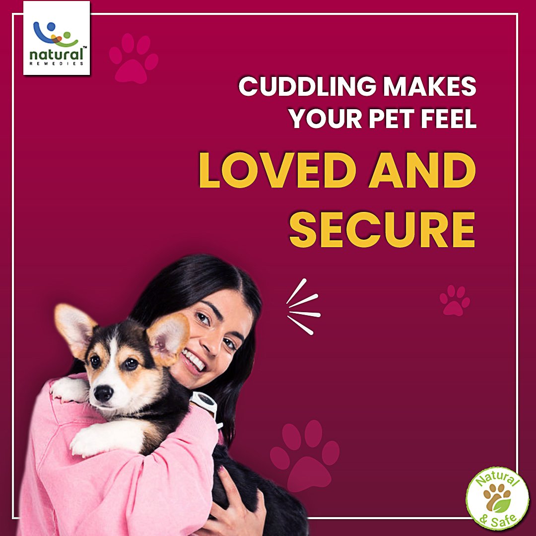 pet_remedies's tweet photo. A cuddle a day keeps their health okay.
#HappyCuddleUpDay #petloversindia #dogsindia #lovemydoggo #doghealth #naturalpetcareproducts #catloversclub #petbond #Winter #Winterishere #doglover #dogloversofinstagram #dogsareangels #delhicats #delhidogs #dogsmakelifebetter https://t.co/fjlWH7Q2IN