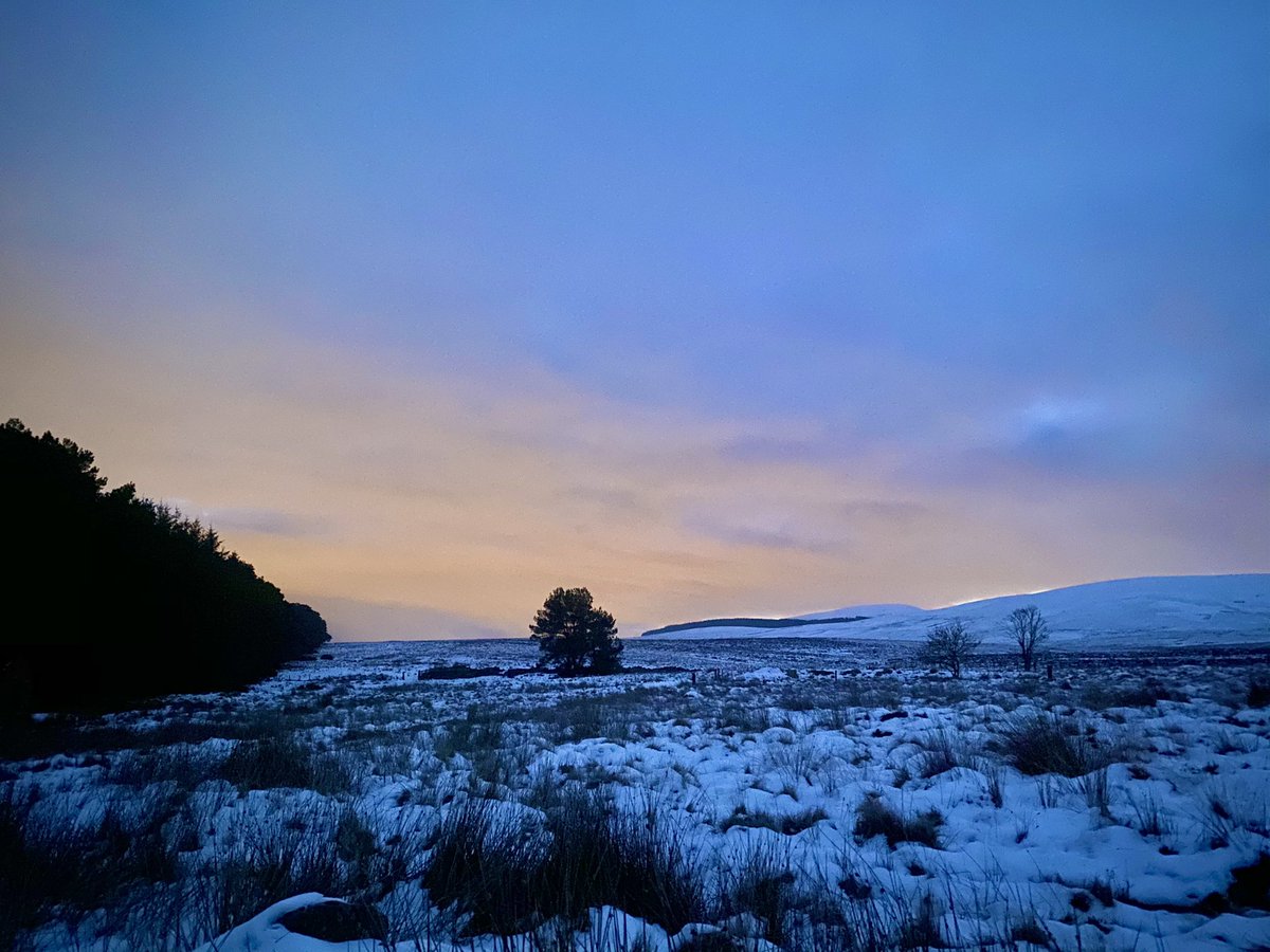 glenntait's tweet photo. Headed up before dawn to the Pentlands, the birds started singing then I woke up the grouse and disturbed some deer grazing for non snowy grass. Some more Kms for the #virtualspine https://t.co/GWUFc5jTsN