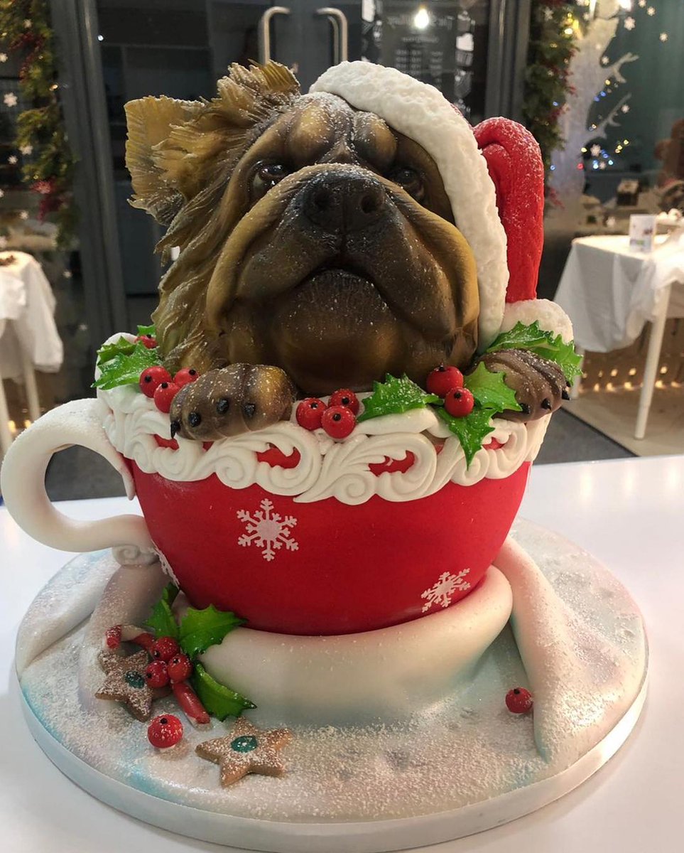 cakes_new's tweet photo. What better way to cheer us all up with a little throwback to one of our amazing Festive cakes from a couple of weeks back! 🎄😍 Absolutely. Adorable. #newcakes #newcakesberkshire #berkshirecakes #wowfactor #happytimes #throwback #cutecakes #dogcake #christmascakeslikenoother https://t.co/T3RUf046T4