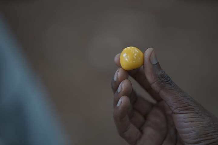 organicfarmersmarket tweet media