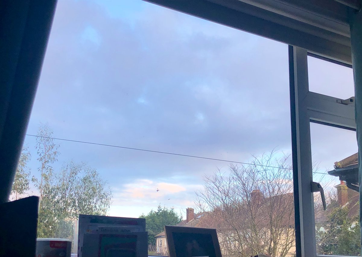 SteveOnHilbre's tweet image. Working &amp;amp; birding from bed today🤷‍♂️ started a new list this morning - 10 species so far, one Teams meeting (no video!). Highlight so far 2Chaffinch next door’s tall tree which seems like a magnet for birds moving between gardens &amp;amp; Robin currently singing! #viewfromawindow @BTO_GBW