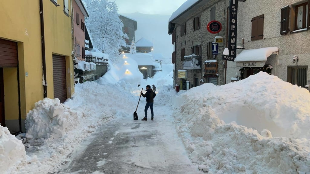 wePowder tweet media