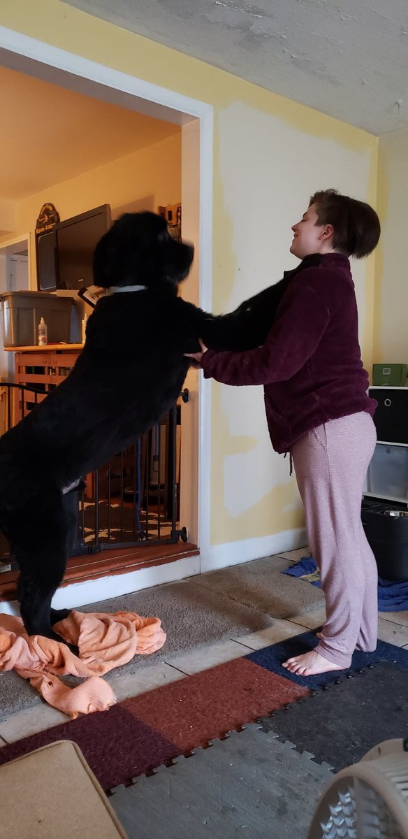 yellowlablover's tweet photo. Big dog
NICK
#newfie #newfoundland #newfy #newf #newfs #noofy #newffun #newfsofinstagram
#newfsdaily #newfstagram #newfsofinsta #fromrussiawithlove #newfiesofinstagram #dog https://t.co/ROqtU2Cetm