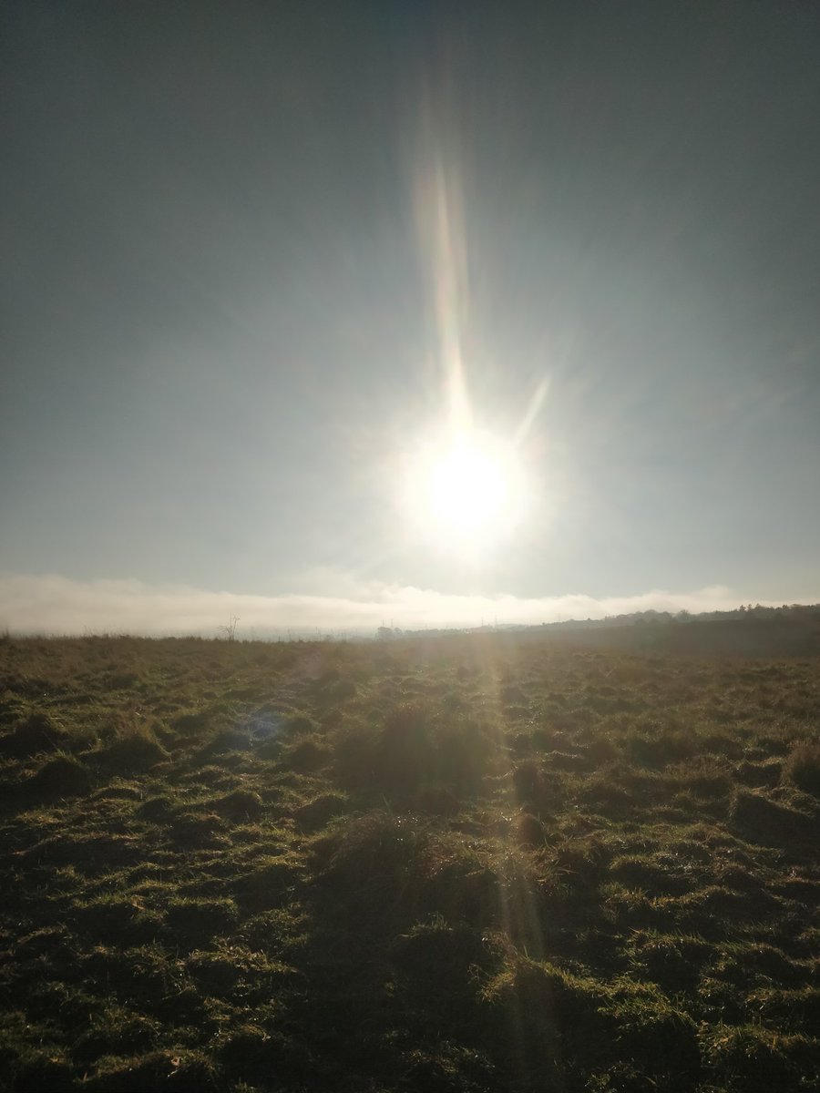 shellhogg1's tweet photo. First run of 2021 🎧💞 up the hills Rocky Balboa style as it's a tad Icy out there, feel amazing for it. #clearthemind #fitness #Edinburgh #offroadrun #takethefilteroff #lockdown2021 https://t.co/FMRIaYHbZD