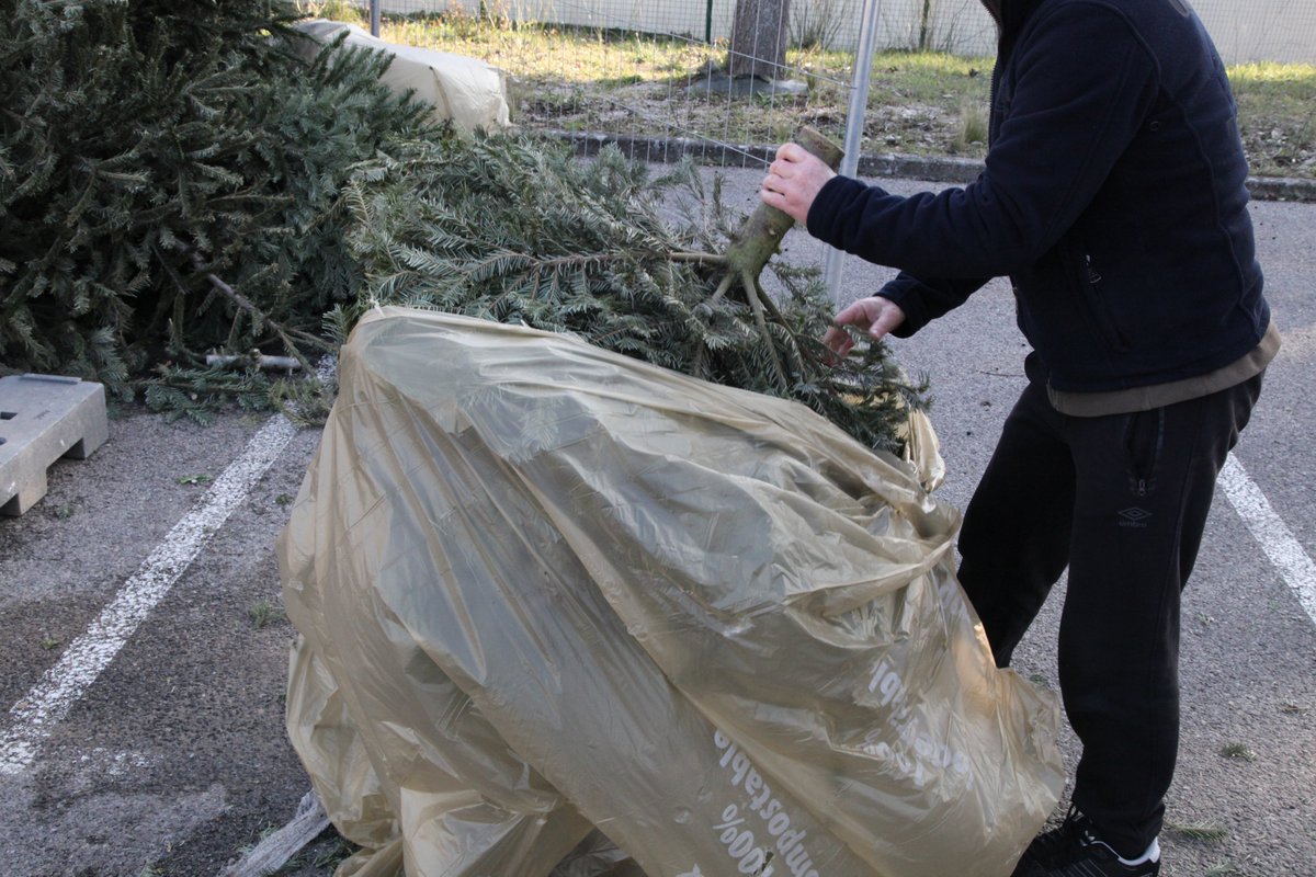 Pennes_Mirabeau's tweet photo. 🌲 #CollecteDeSapins | Petit à petit nos points collecte se remplissent. Merci à tous de jouer le jeu.
📌 N'oubliez pas, vous avez jusqu'au 20 janvier pour déposer votre arbre de Noël dans l'un des deux points mis à votre disposition. #LesPennesMirabeau #VLPM https://t.co/1Rhv1GEauZ