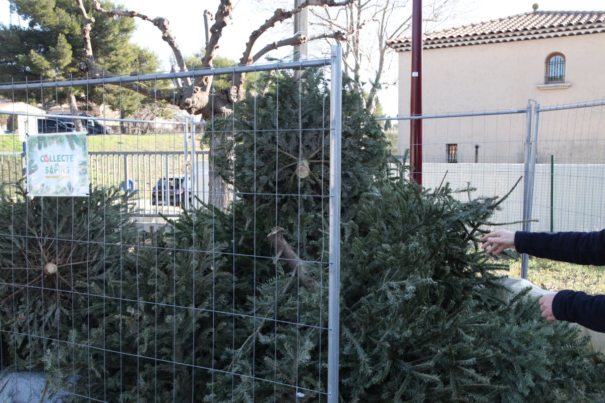 Pennes_Mirabeau's tweet photo. 🌲 #CollecteDeSapins | Petit à petit nos points collecte se remplissent. Merci à tous de jouer le jeu.
📌 N'oubliez pas, vous avez jusqu'au 20 janvier pour déposer votre arbre de Noël dans l'un des deux points mis à votre disposition. #LesPennesMirabeau #VLPM https://t.co/1Rhv1GEauZ