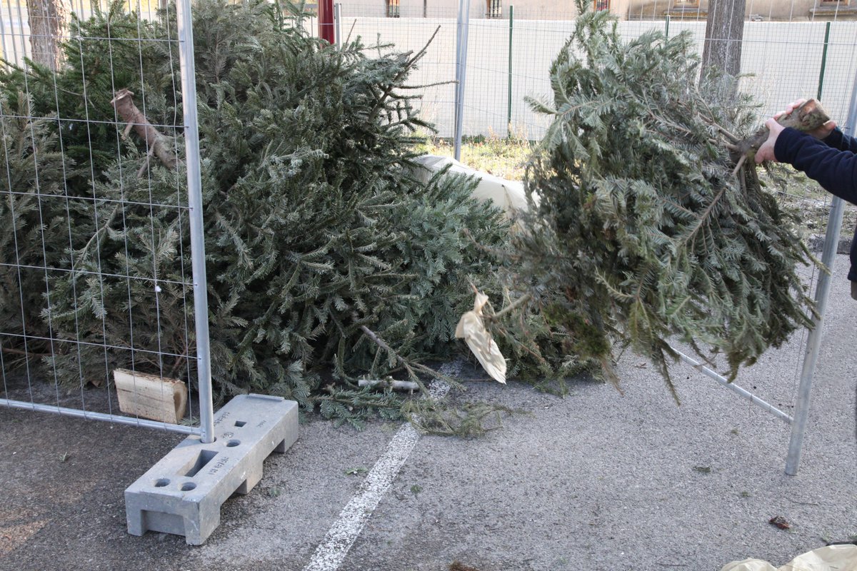 Pennes_Mirabeau's tweet photo. 🌲 #CollecteDeSapins | Petit à petit nos points collecte se remplissent. Merci à tous de jouer le jeu.
📌 N'oubliez pas, vous avez jusqu'au 20 janvier pour déposer votre arbre de Noël dans l'un des deux points mis à votre disposition. #LesPennesMirabeau #VLPM https://t.co/1Rhv1GEauZ