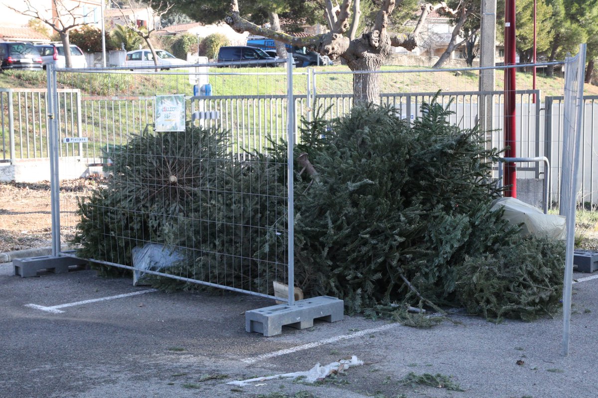 Pennes_Mirabeau's tweet photo. 🌲 #CollecteDeSapins | Petit à petit nos points collecte se remplissent. Merci à tous de jouer le jeu.
📌 N'oubliez pas, vous avez jusqu'au 20 janvier pour déposer votre arbre de Noël dans l'un des deux points mis à votre disposition. #LesPennesMirabeau #VLPM https://t.co/1Rhv1GEauZ