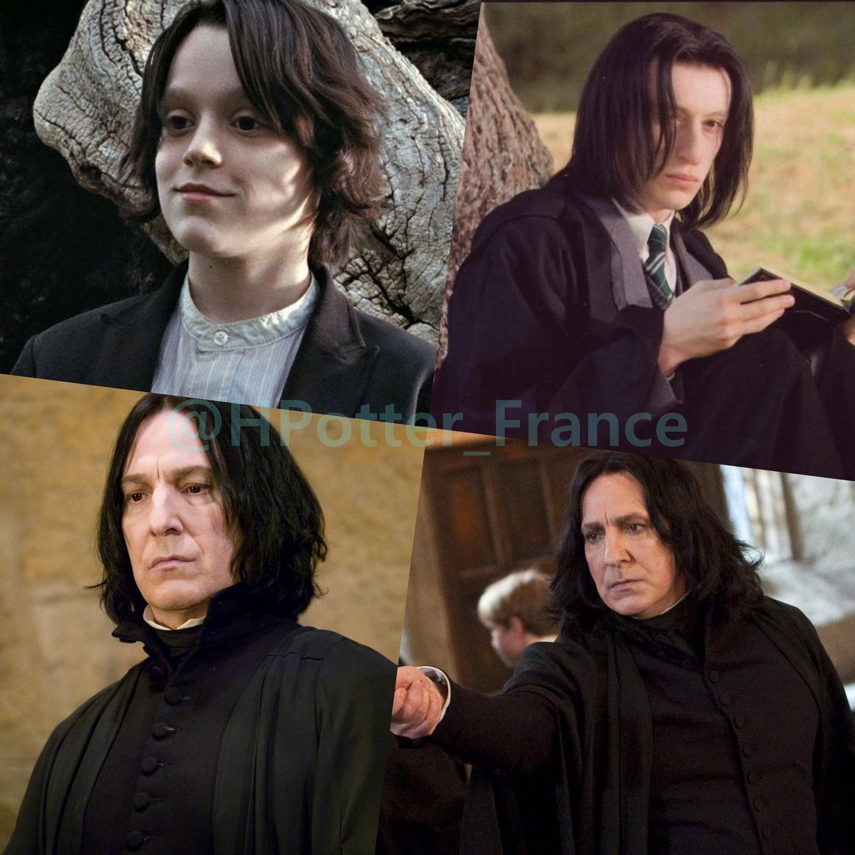 Harry Potter France tweet media
