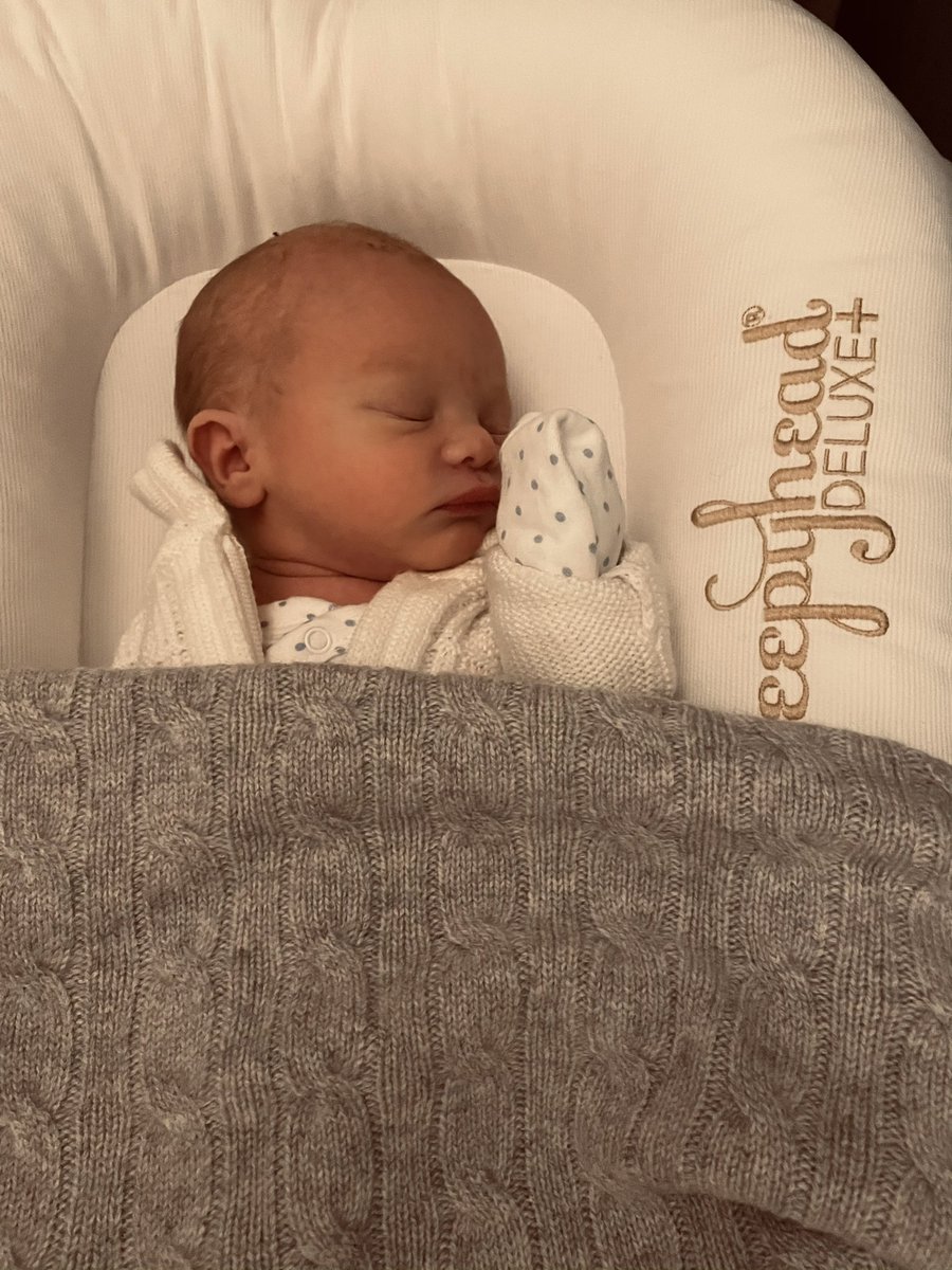 Thomas Nielsen (@th__nielsen) on Twitter photo Bra start på nye året. <a href="/VicTerjesen/">Victoria Terjesen</a> og jeg blitt stolte foreldre til denne herlige fyren her. Han har så langt vist litt svak cash-conversion, men veksten ser lovende ut 😍 Bra start på nye året. <a href="/VicTerjesen/">Victoria Terjesen</a> og jeg blitt stolte foreldre til denne herlige fyren her. Han har så langt vist litt svak cash-conversion, men veksten ser lovende ut 😍