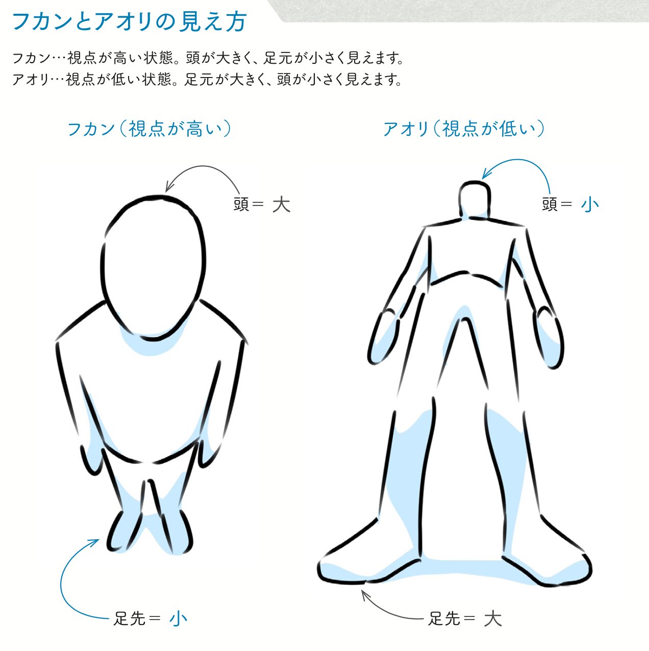 アニメ私塾 在 Twitter 上 アオリ フカンを自在に描く ことで躍動感が出る アニメ私塾累計18万部突破 アニメ私塾流 最速でなんでも描けるようになるキャラ作画の技術 エクスナレッジ刊 の内容紹介 以下販売リンク T Co Lvrcku32gj