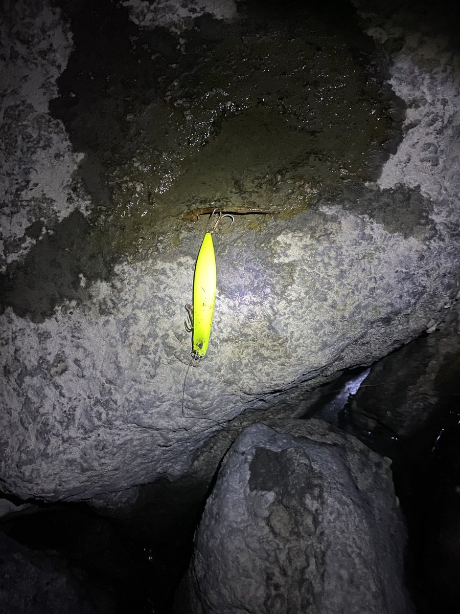 ちょんちゃん シーバス シーバス釣りに河口でボトムドリフトしてたらルアーがつれました笑 そしてルアー釣ったジョルティをなくしました笑 名古屋港の冬のベイトって何だろうー