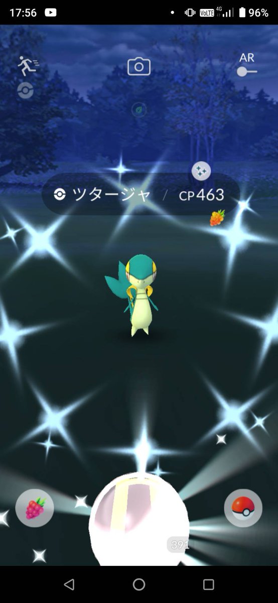 色違いツタージャ